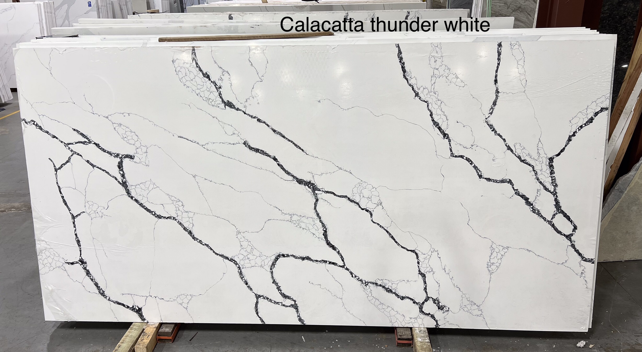 Calacatta Thunder White