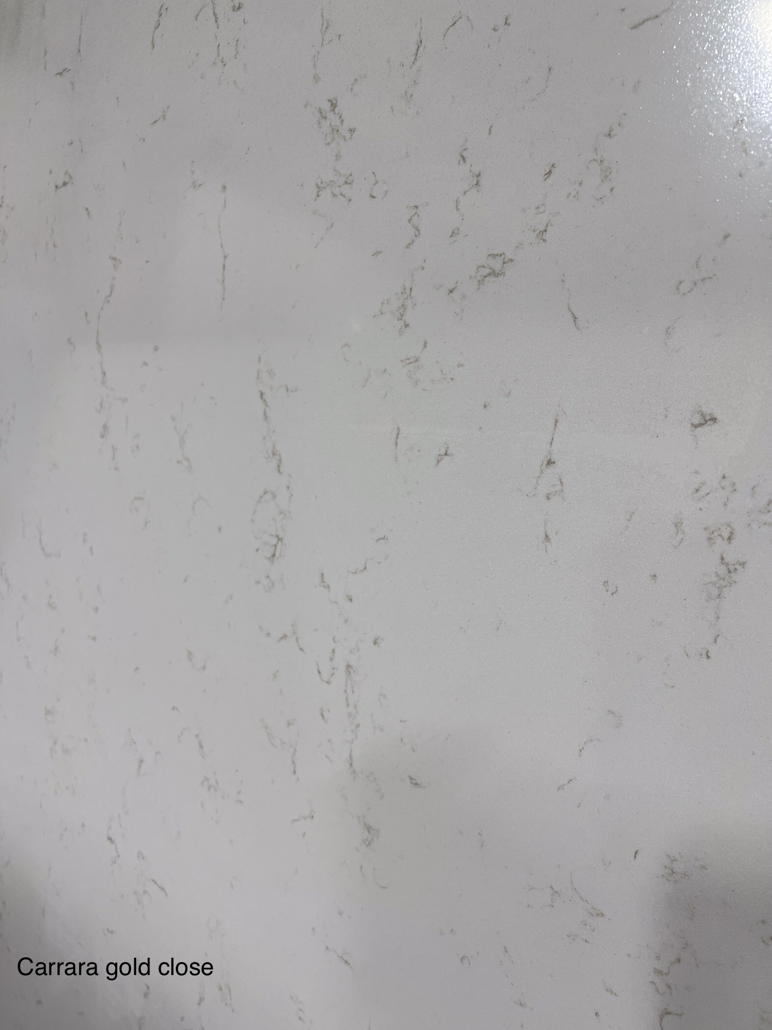 Carrara Gold Closeup